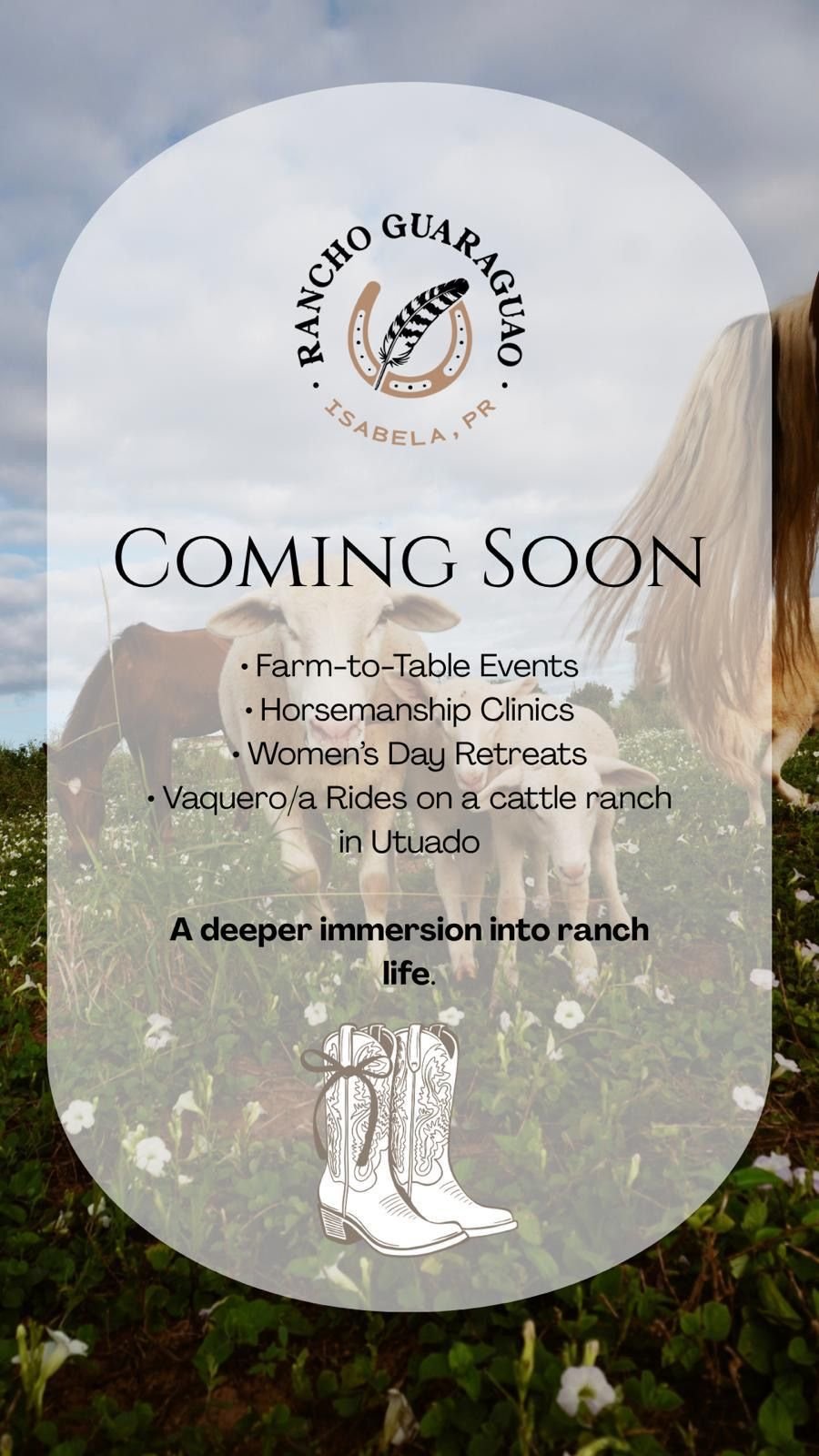 Coming soon at Rancho Guaraguao: farm-to-table events, horsemanship clinics, women’s day retreats and vaquero rides in Utuado