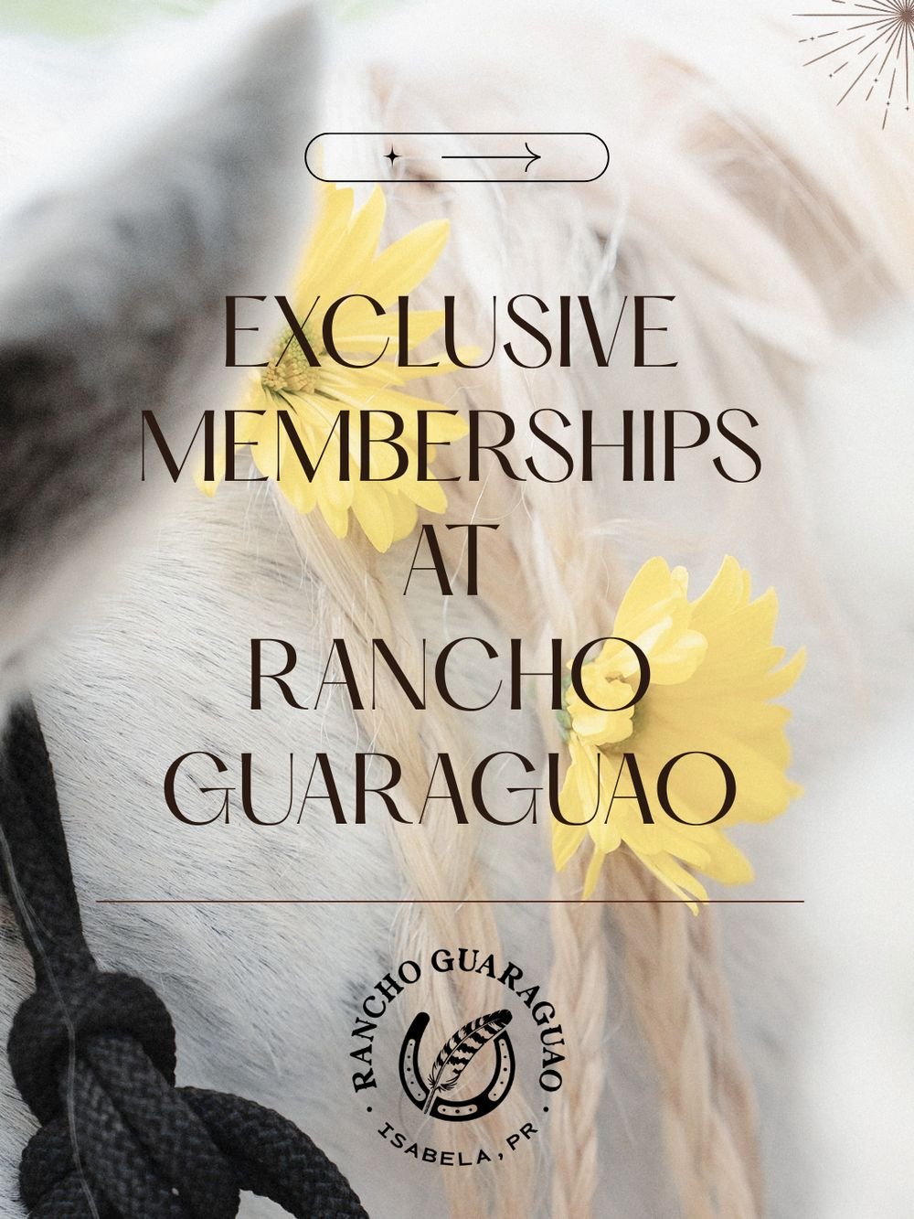 Exclusive memberships at Rancho Guaraguao flyer